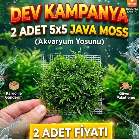 (5x5) Tele Sarılı Java Moss - Karides ve Yavruluk Bitkisi
